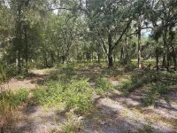 45070 WILD ACRES TRL — photo 50