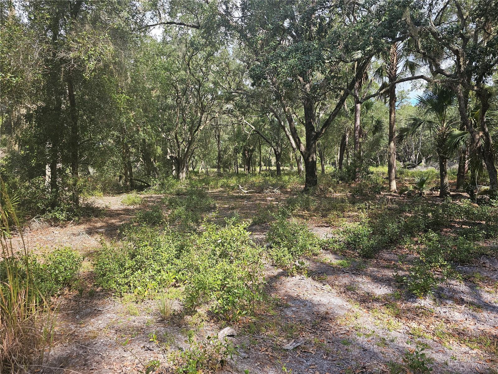 45070 WILD ACRES TRL, PAISLEY, FL — photo 49