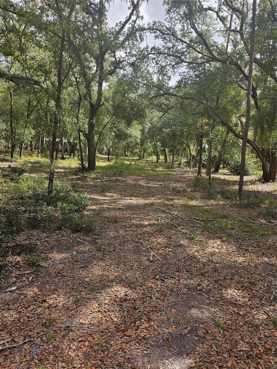 45070 WILD ACRES TRL, PAISLEY, FL — photo 51