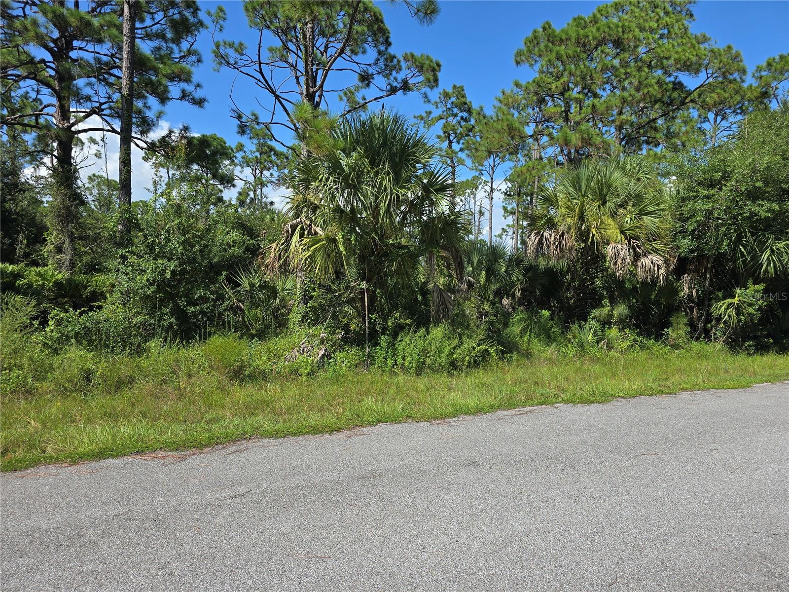 14506 CAROUSEL LN, PORT CHARLOTTE, FL — photo 3