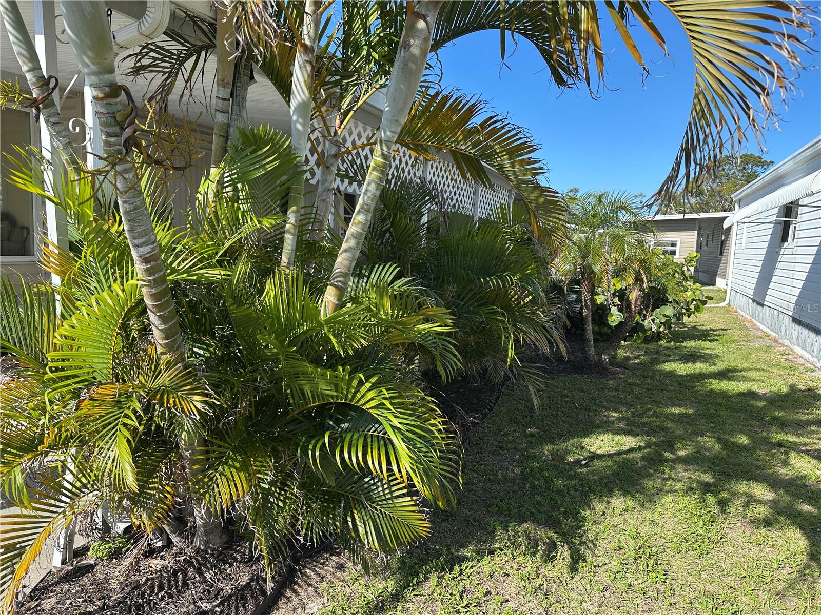 5800 FORSYTHIA RD, VENICE, FL — photo 17