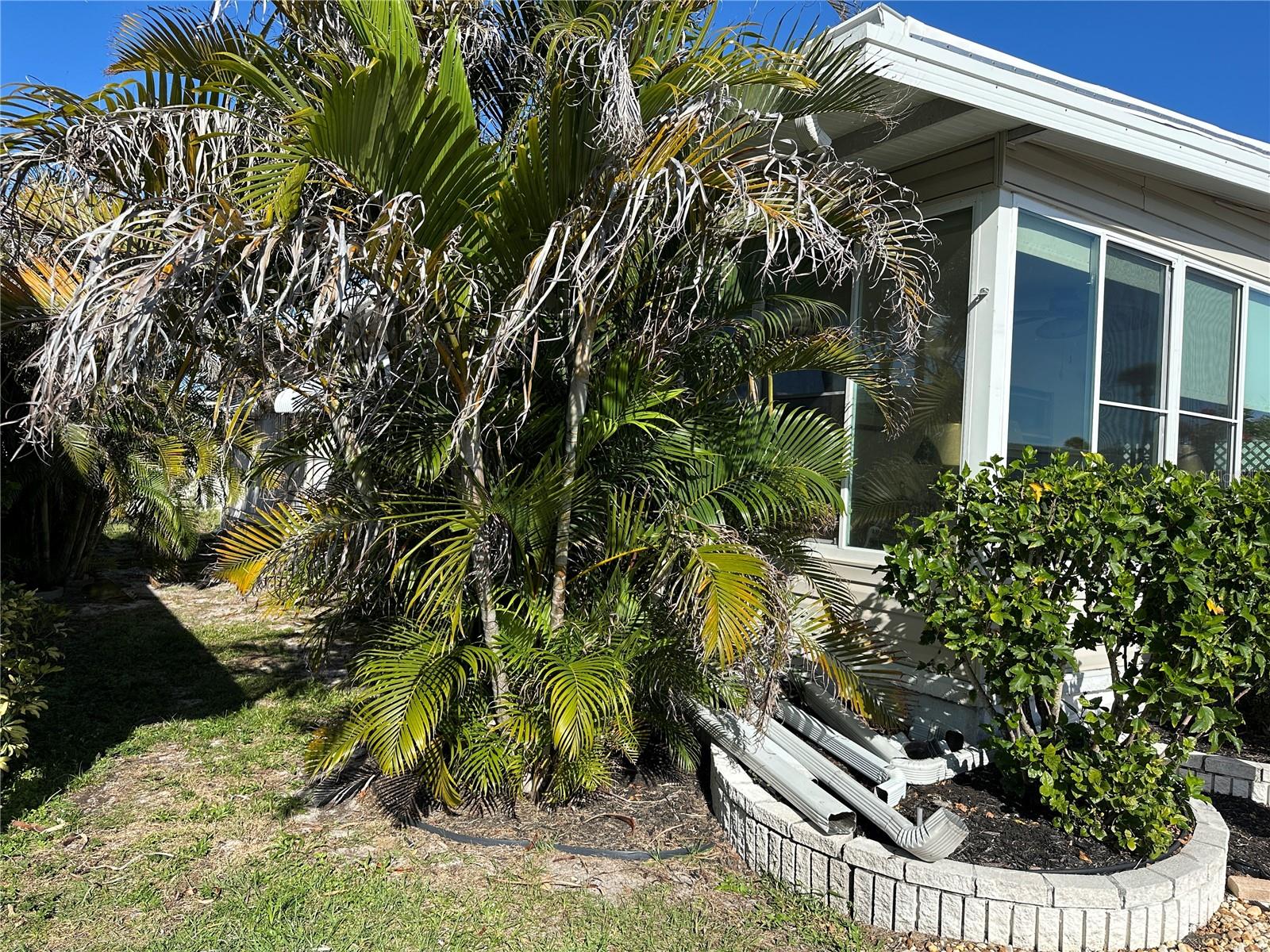 5800 FORSYTHIA RD, VENICE, FL — photo 18