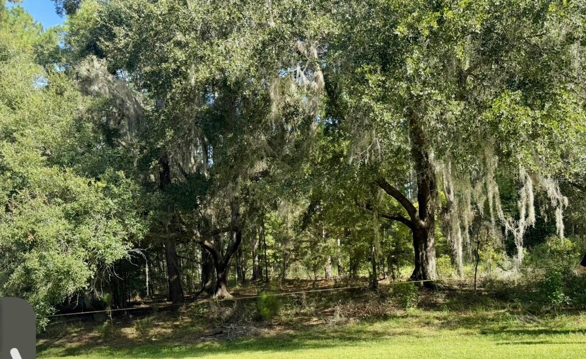 NW 148TH LN, WILLISTON, FL — photo 4