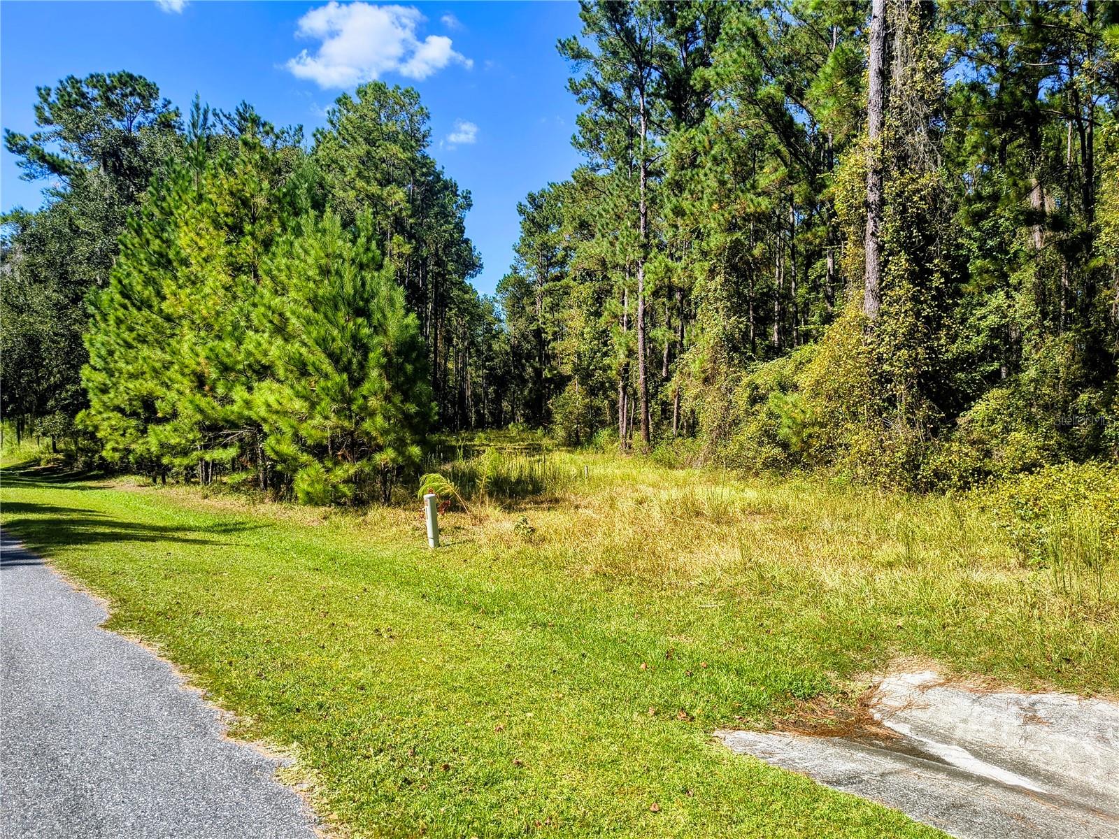 NW 148TH LN, WILLISTON, FL