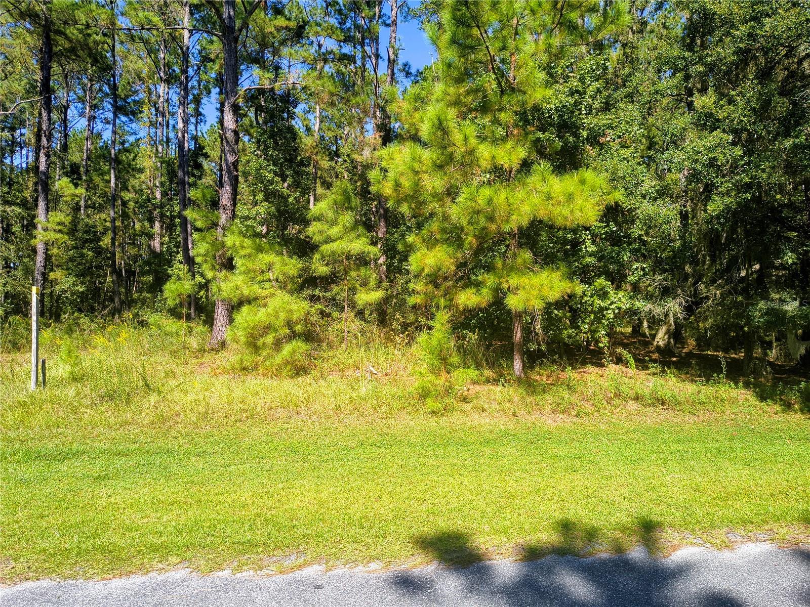 NW 148TH LN, WILLISTON, FL — photo 2