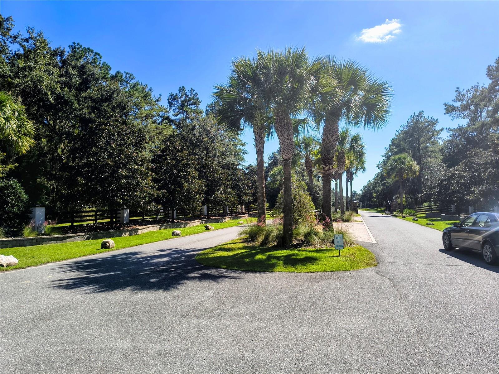 NW 148TH LN, WILLISTON, FL — photo 7