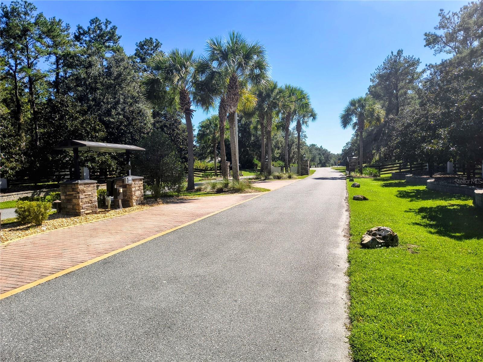 NW 148TH LN, WILLISTON, FL — photo 8