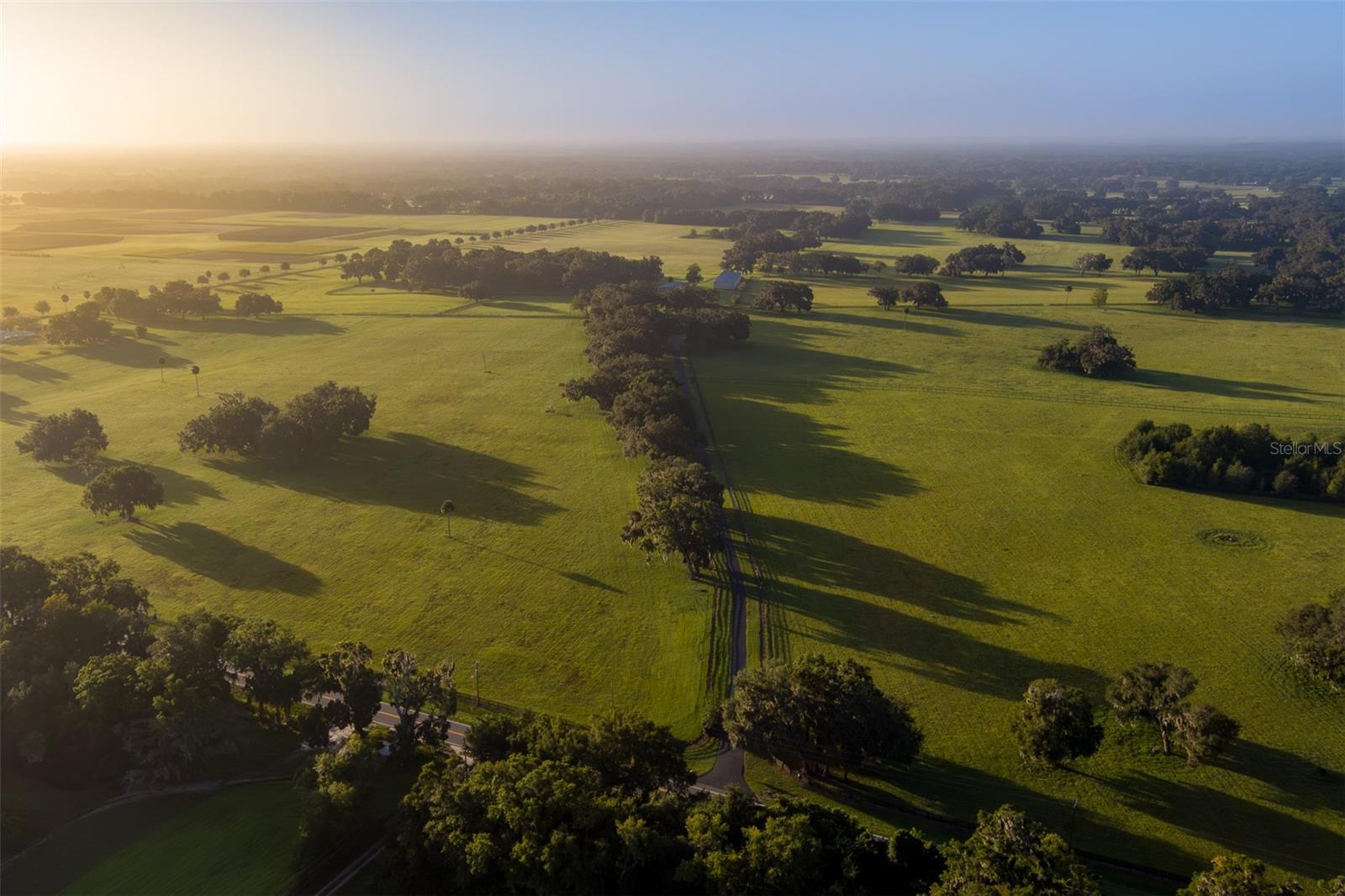 3682 W HIGHWAY 318, CITRA, FL — photo 18