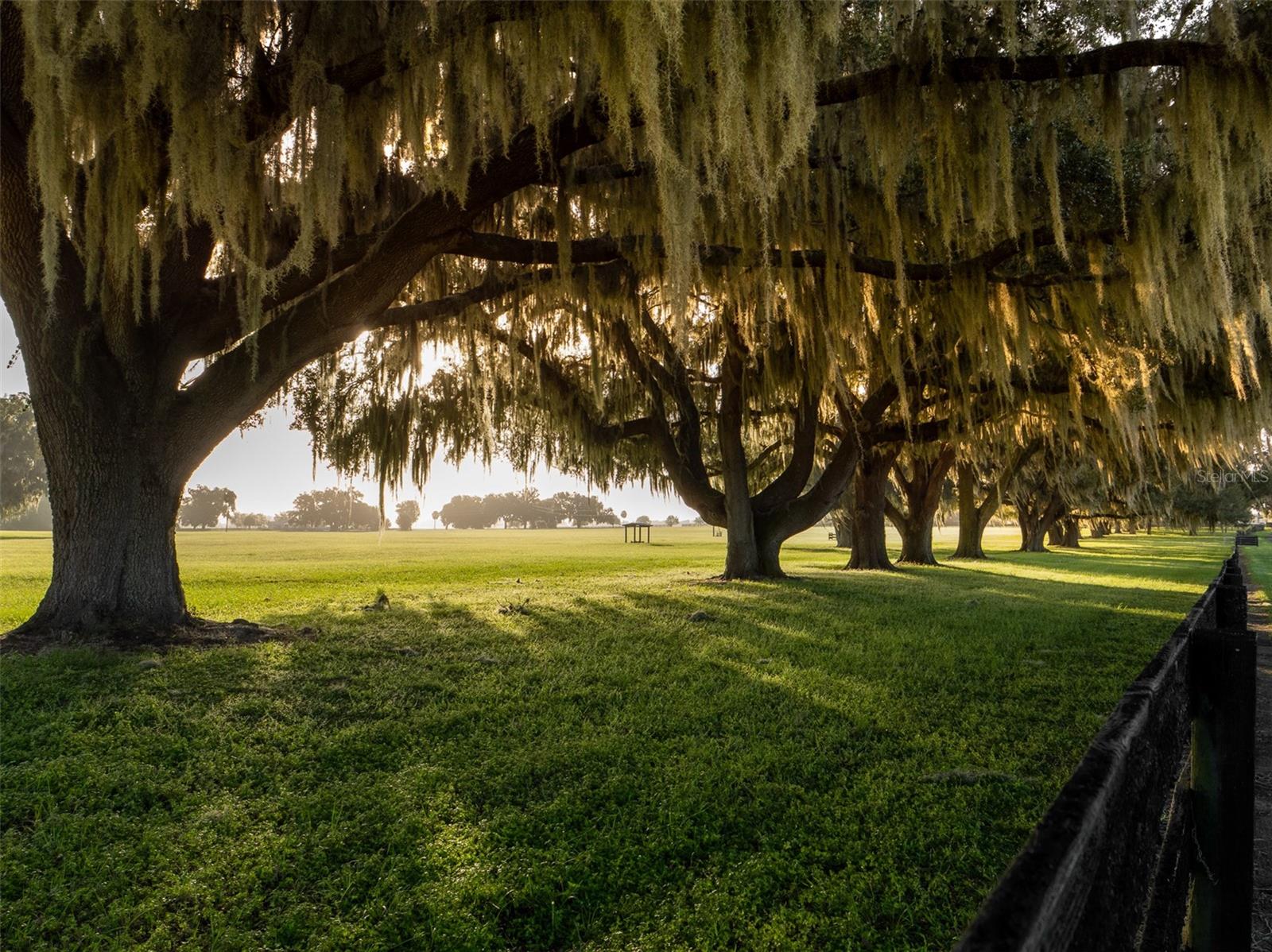 3682 W HIGHWAY 318, CITRA, FL — photo 20