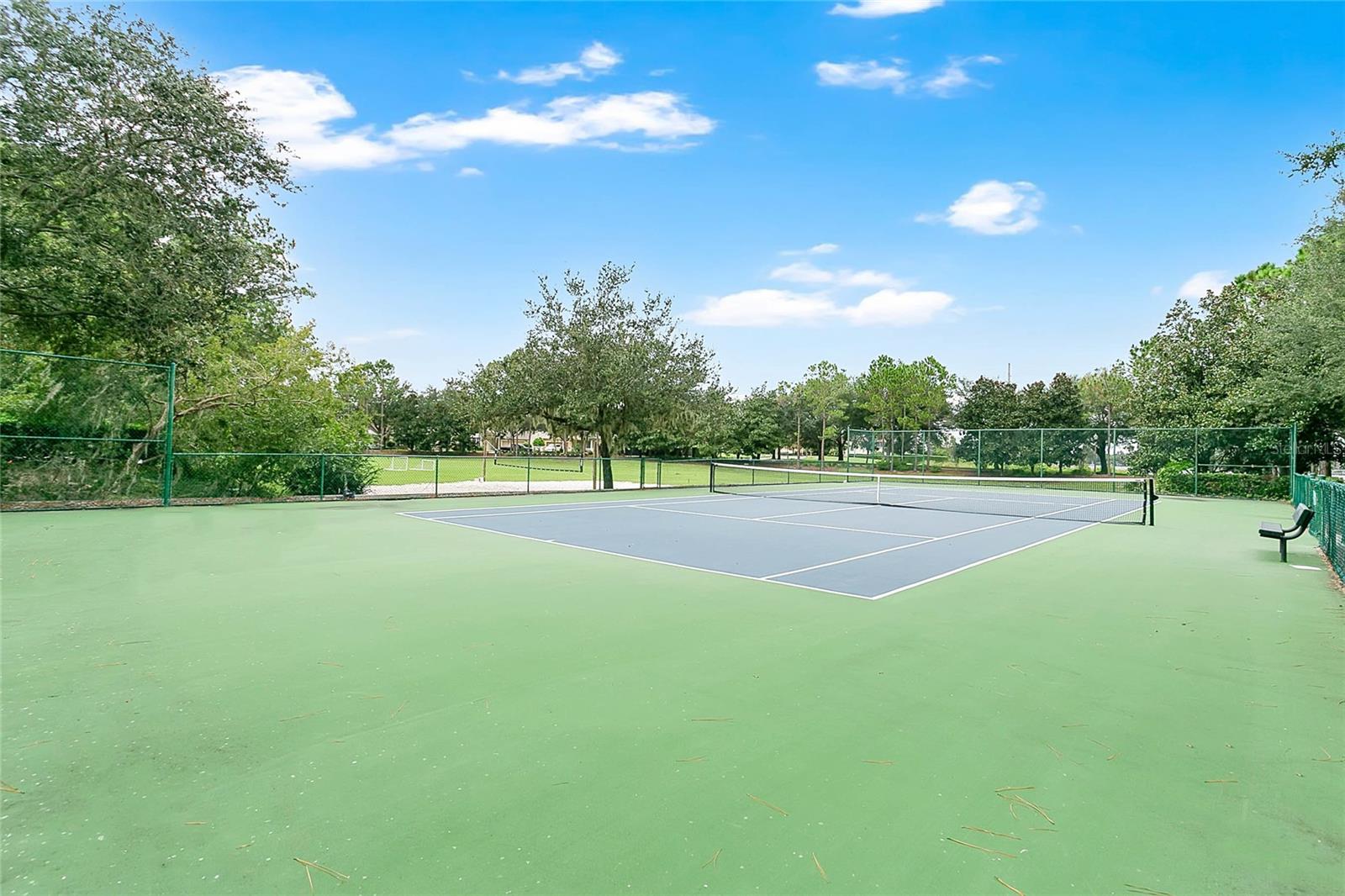 6712 THORNHILL CIR, WINDERMERE, FL — photo 39