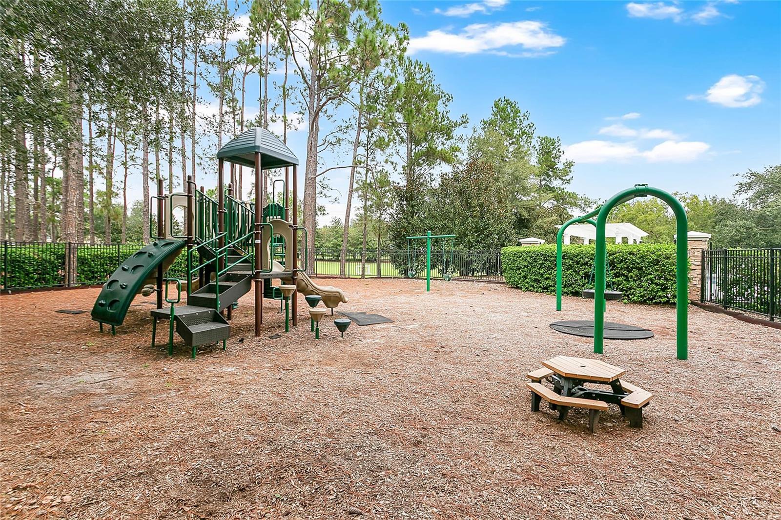 6712 THORNHILL CIR, WINDERMERE, FL — photo 40