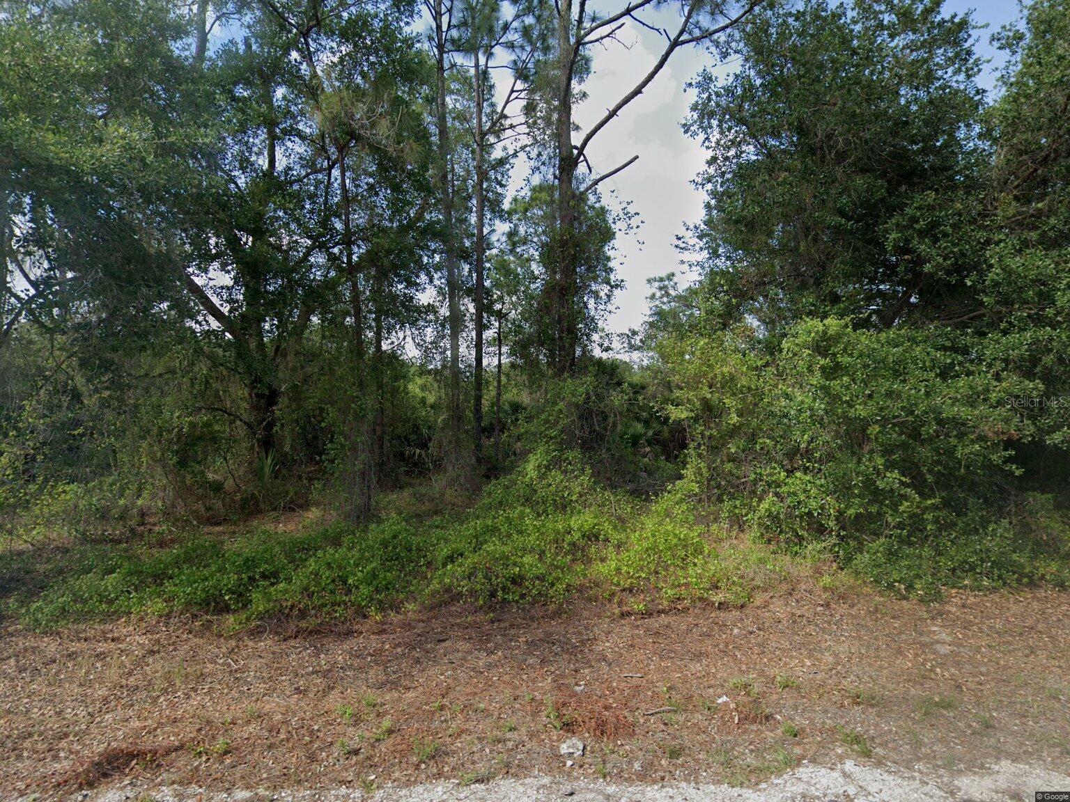 1015 PILGRIM ST E, LEHIGH ACRES, FL