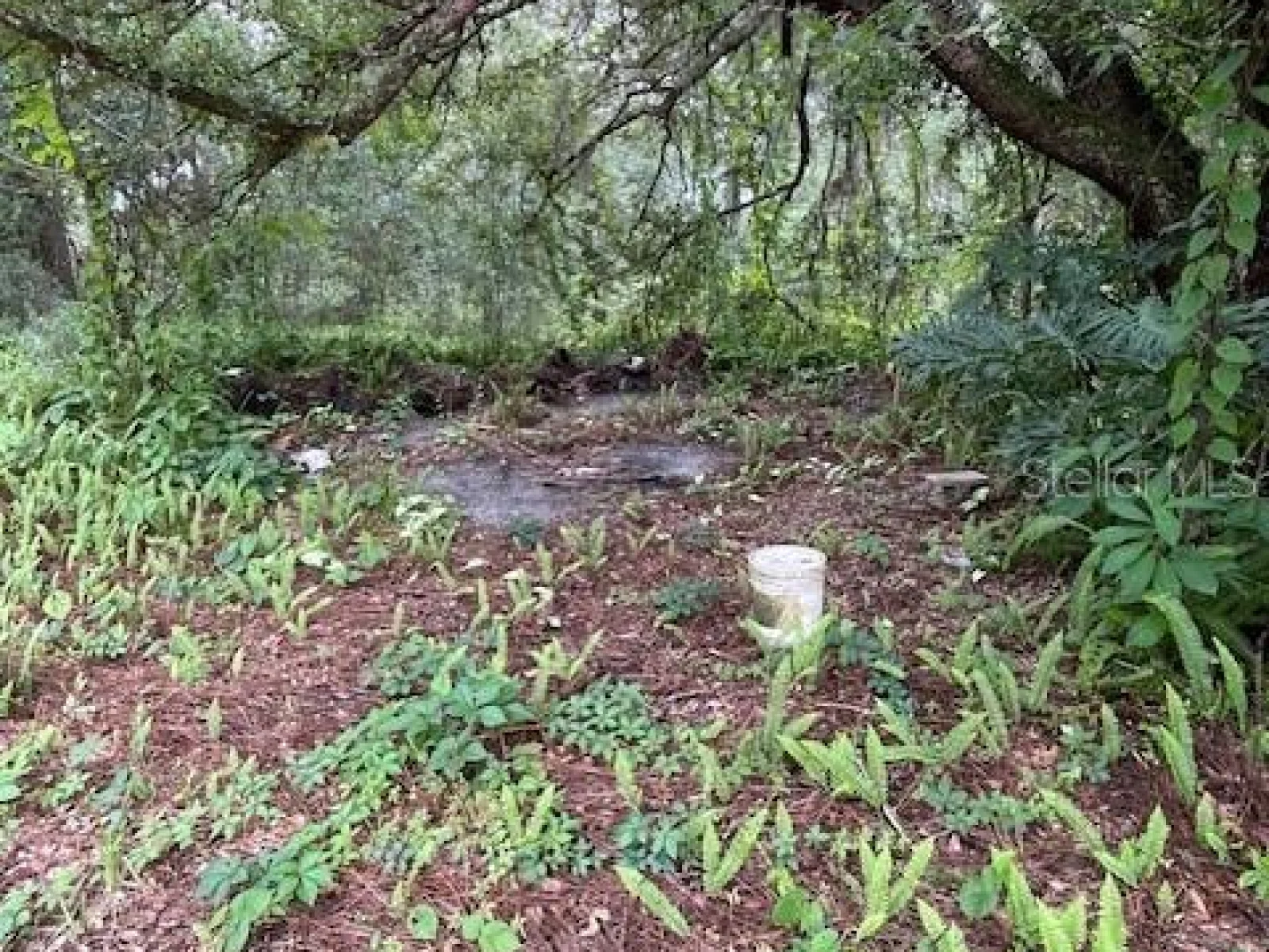 2900 CLEBURNE RD, ORLANDO, FL — photo 11