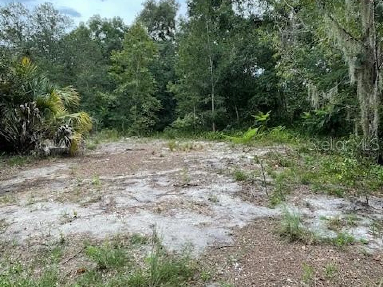 2900 CLEBURNE RD, ORLANDO, FL — photo 16