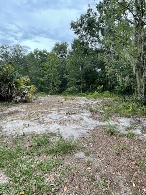 2900 CLEBURNE RD, ORLANDO, FL — photo 15