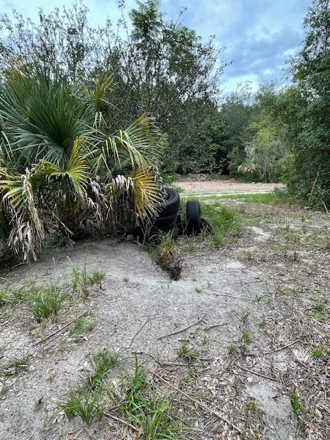 2850 CLEBURNE RD, ORLANDO, FL — photo 7