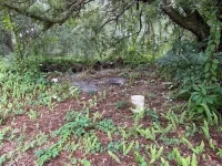 2850 CLEBURNE RD — photo 11