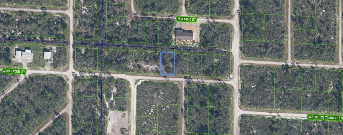 3507 & 3509 JAMBOREE ST, LAKE PLACID, FL