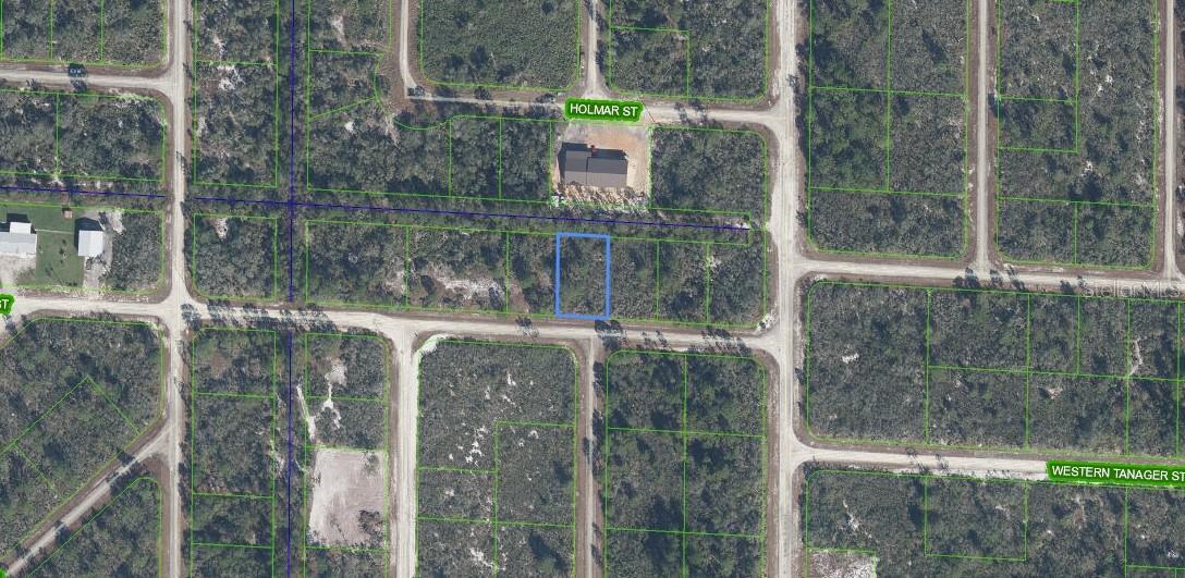 3507 & 3509 JAMBOREE ST, LAKE PLACID, FL — photo 2
