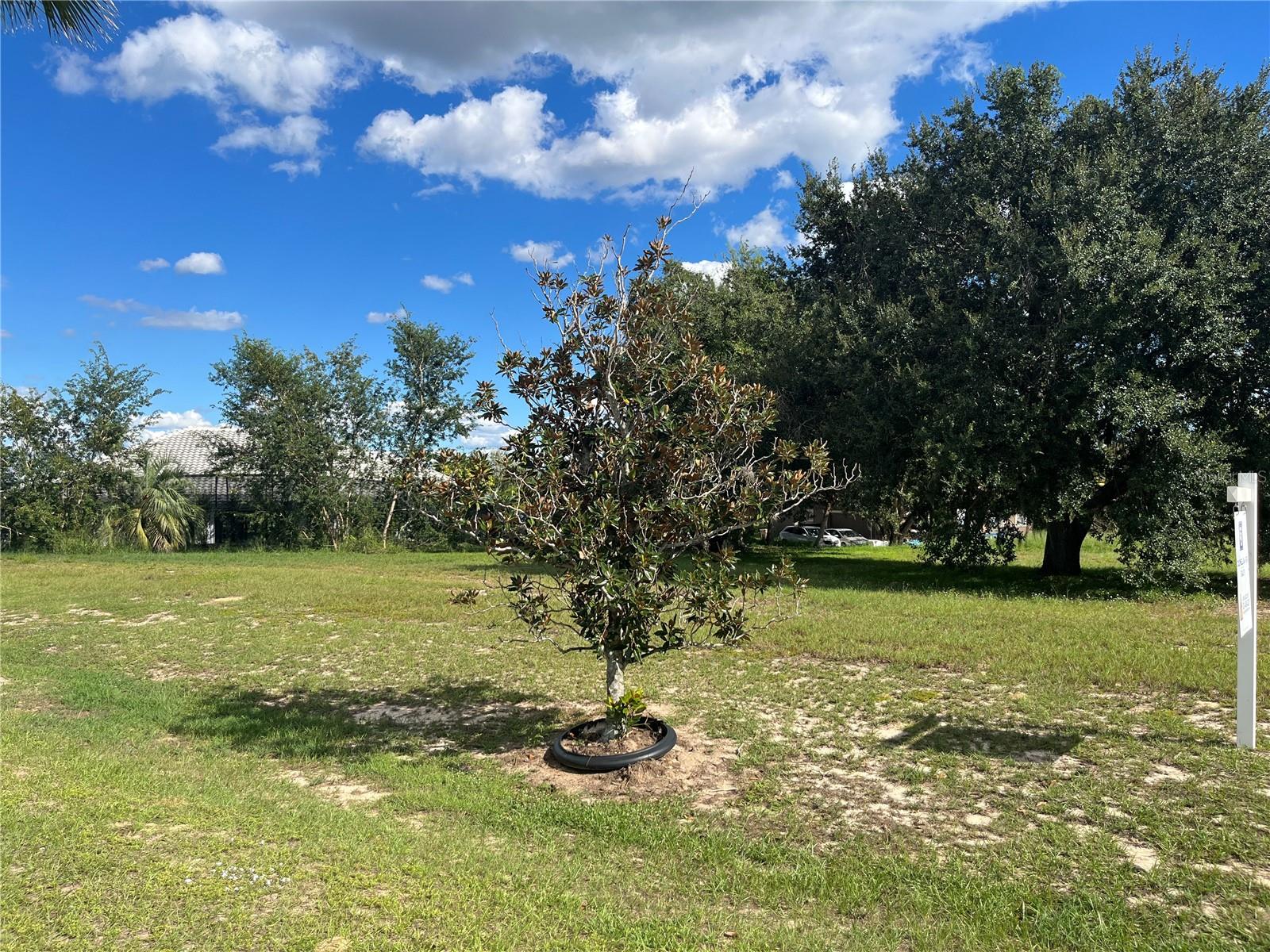 7434 JASMINE ST, GROVELAND, FL — photo 17