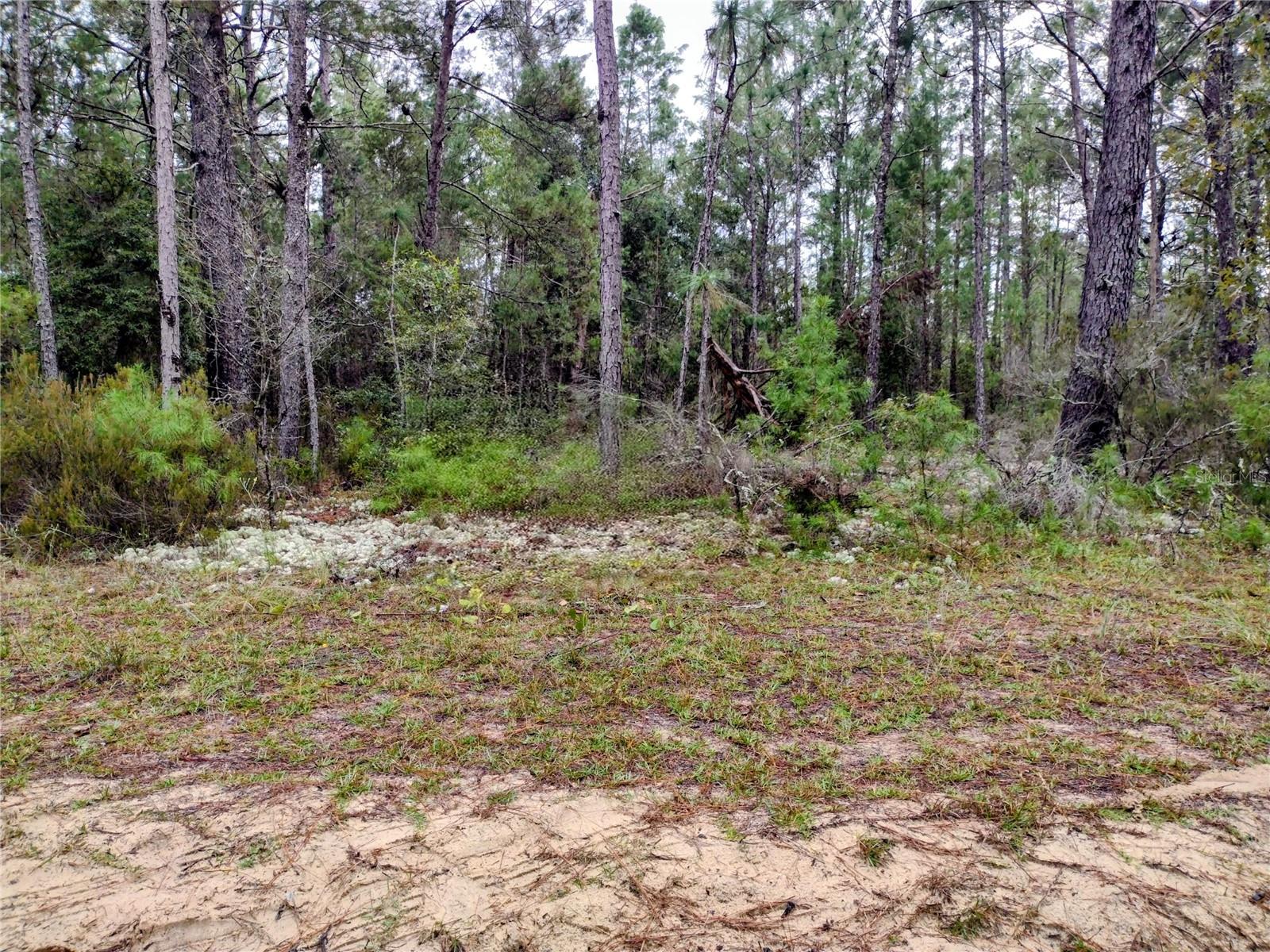 165 7TH WAY, INTERLACHEN, FL