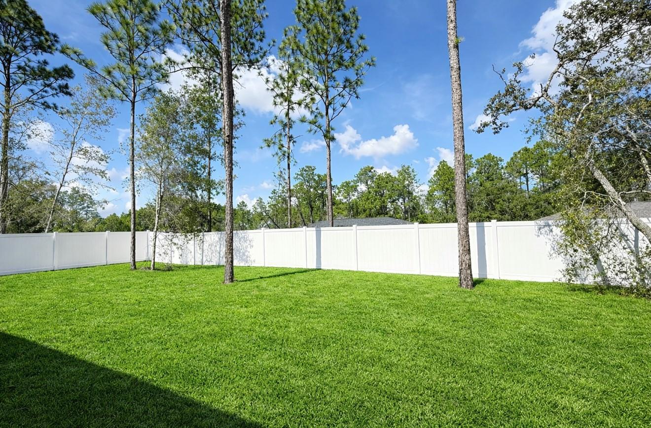 2433 W ANDROMEDAE DR, CITRUS SPRINGS, FL — photo 25
