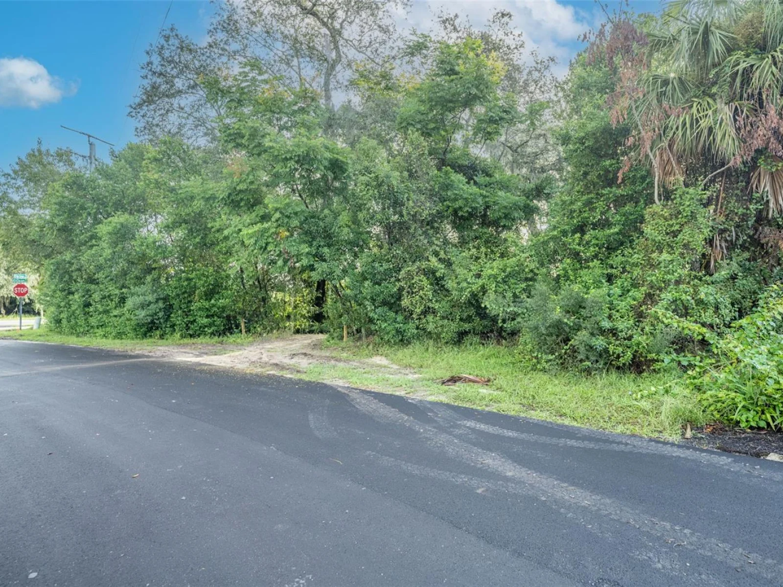 2163 VAN ORMAN DR, DELTONA, FL — photo 2