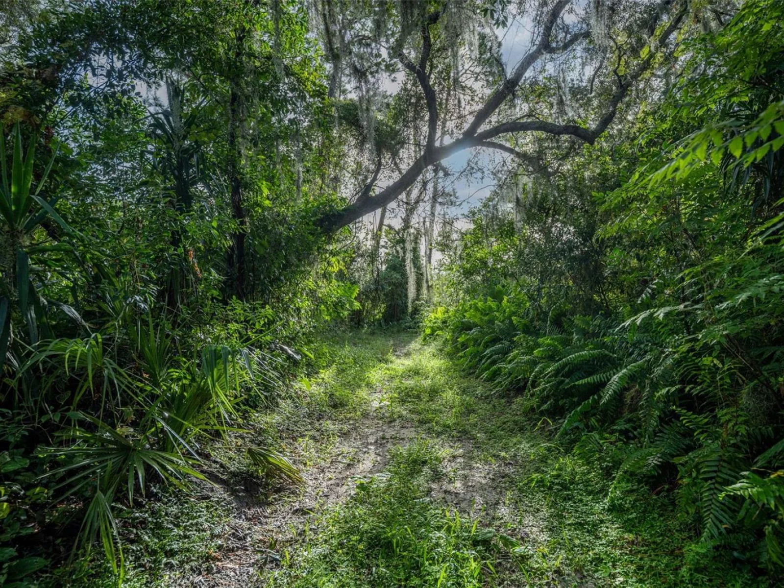 2163 VAN ORMAN DR, DELTONA, FL — photo 5