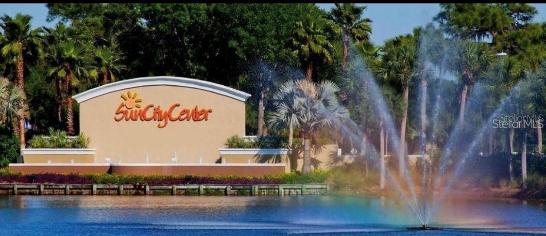 1117 MCDANIEL ST #31, SUN CITY CENTER, FL — photo 44