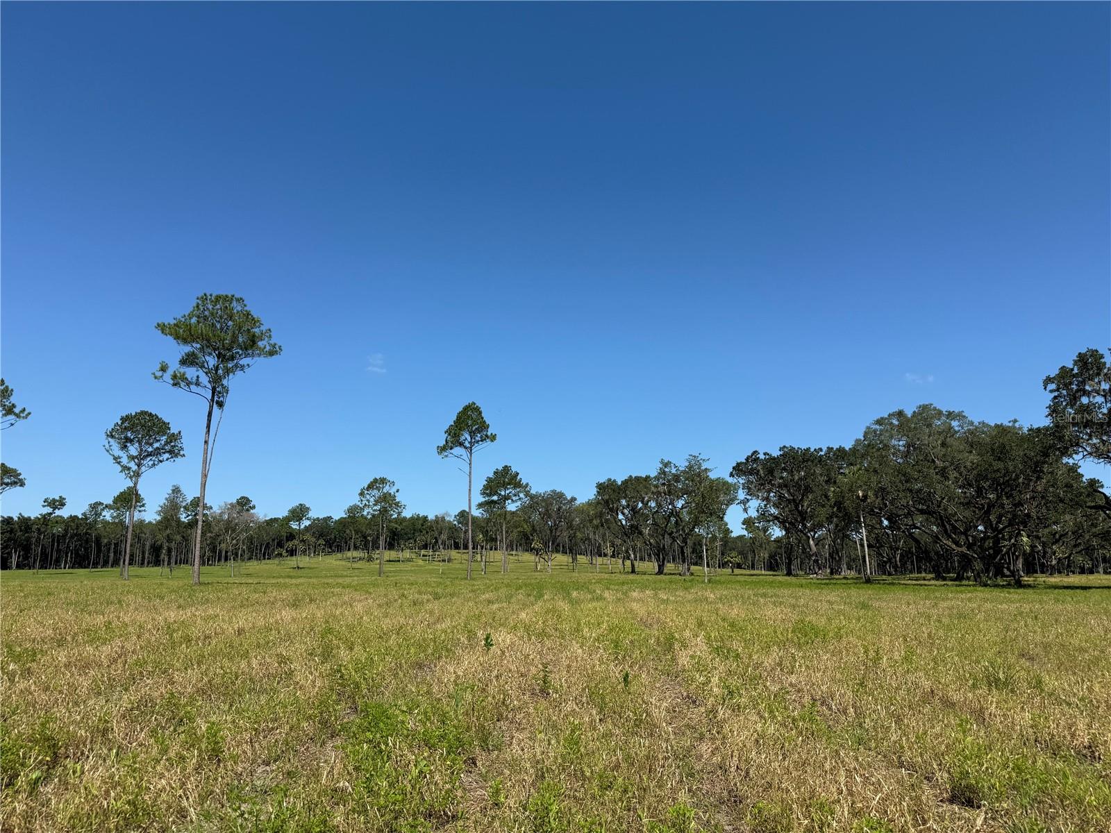 DR #5 (24ac) NW 193RD ST, MICANOPY, FL — photo 7