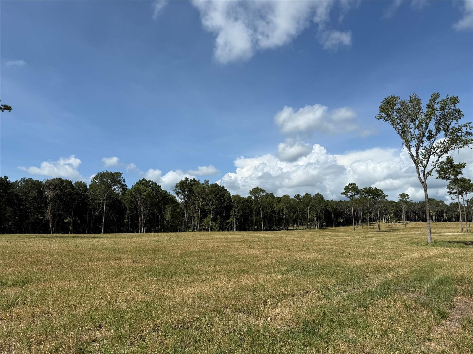 DR #5 (24ac) NW 193RD ST, MICANOPY, FL — photo 11