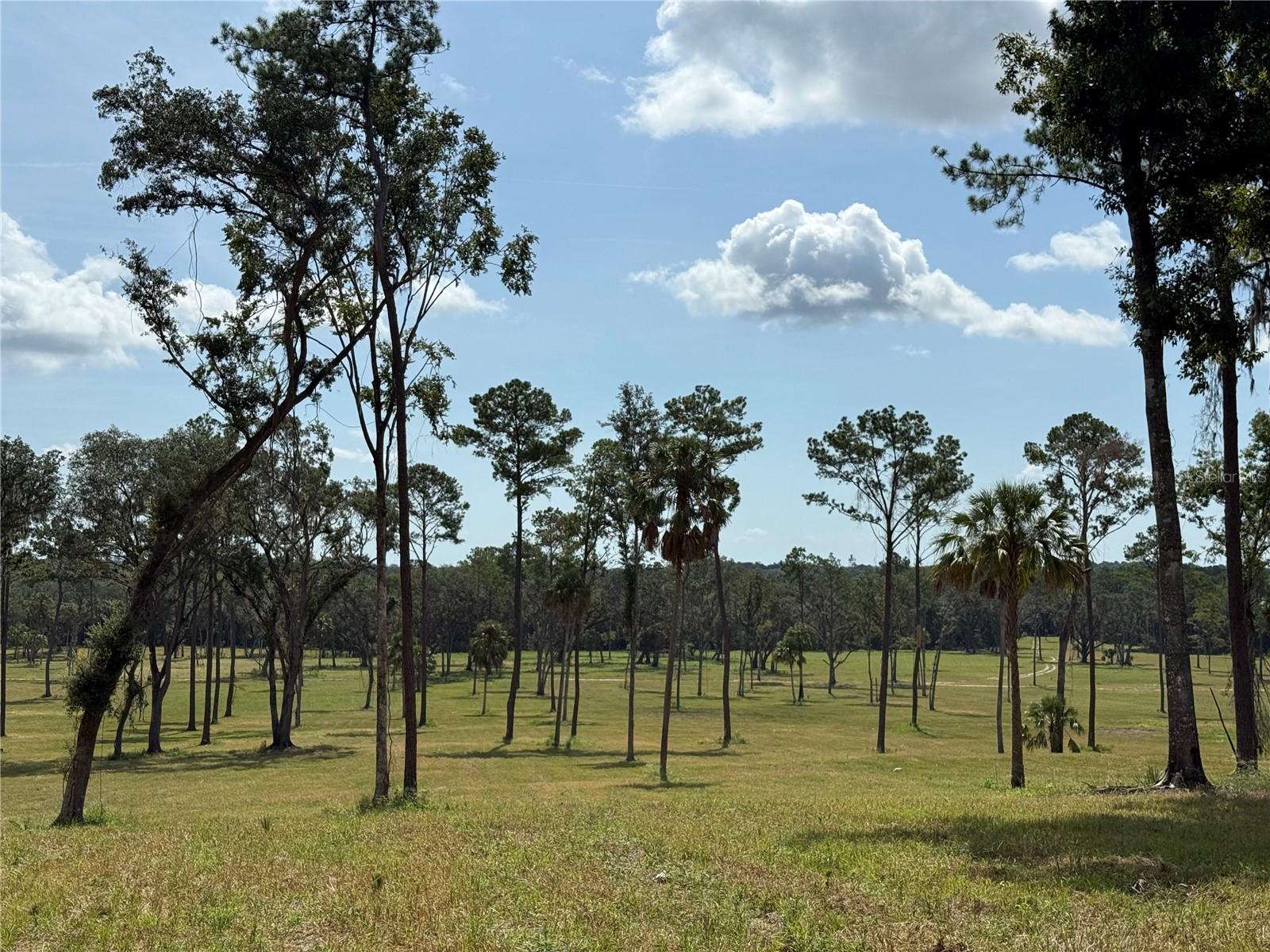 DR #5 (24ac) NW 193RD ST, MICANOPY, FL — photo 14
