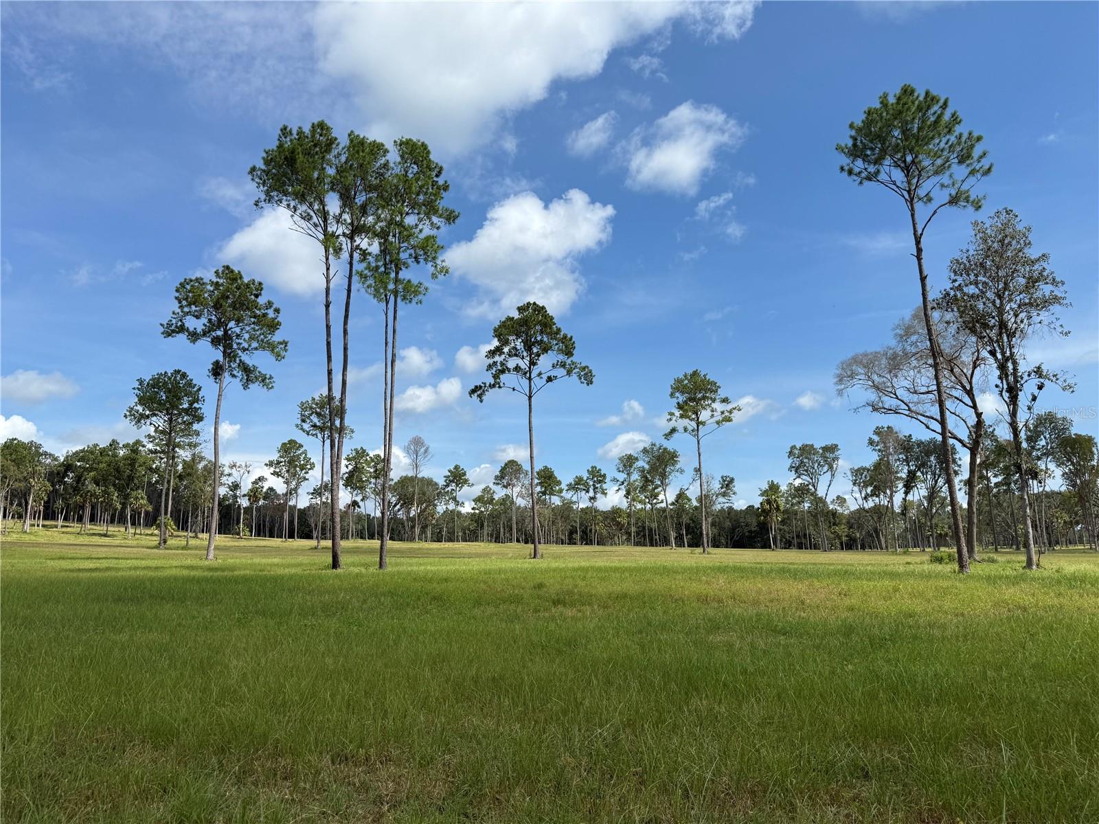 DR #5 (24ac) NW 193RD ST, MICANOPY, FL — photo 15