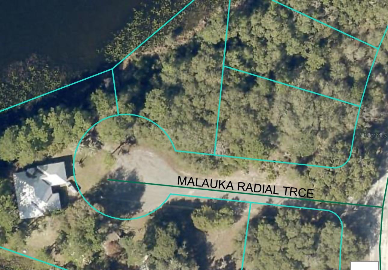 0 MALAUKA RADIAL TRAK #38, OCKLAWAHA, FL — photo 4