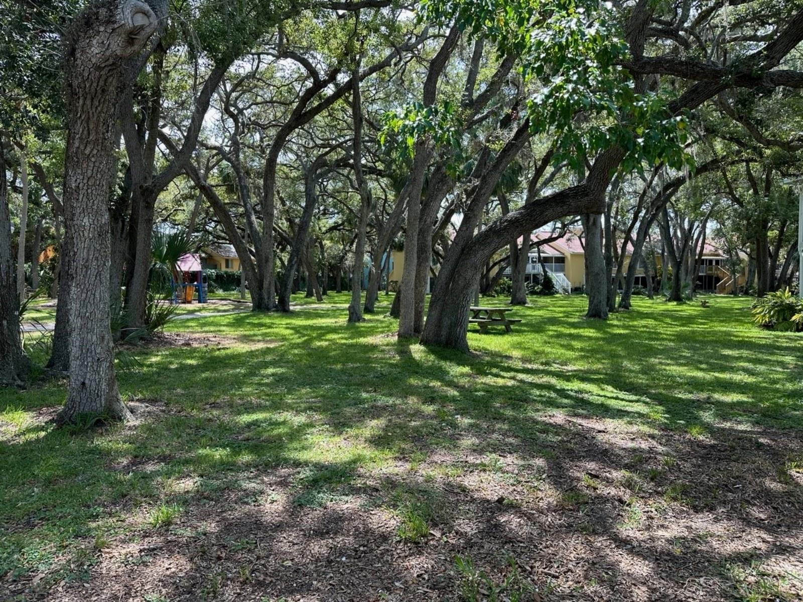 3735 42ND WAY S #E, ST PETERSBURG, FL — photo 23