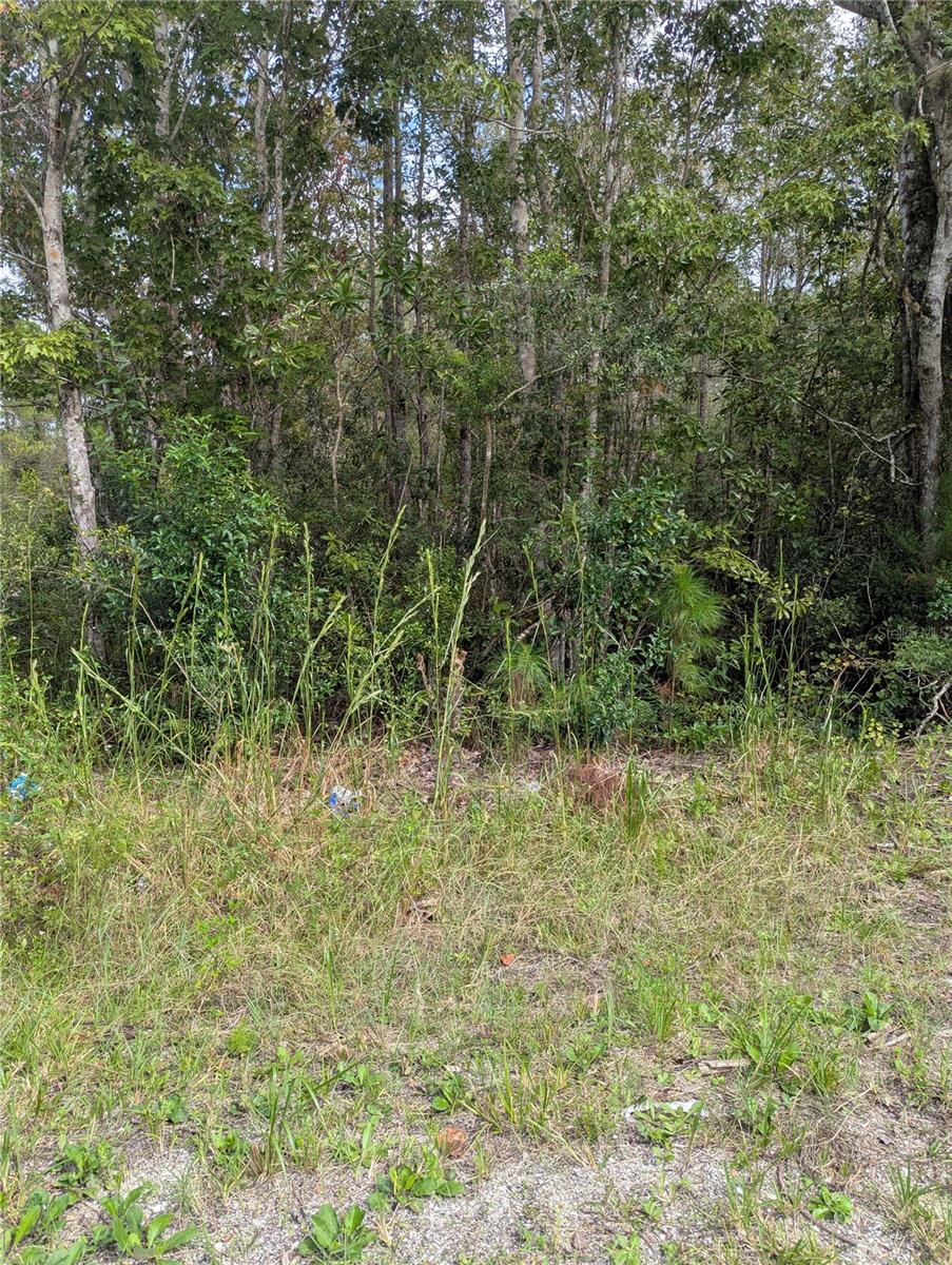EAST PKWY, DELAND, FL — photo 5