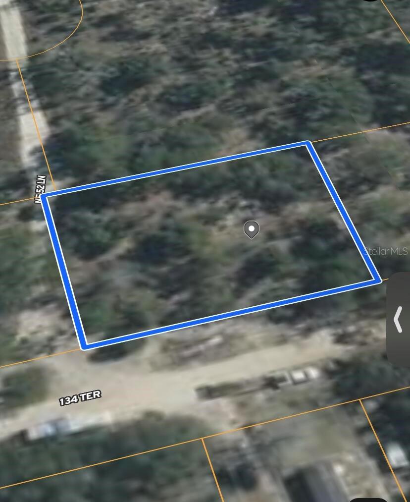 0 NE 134 TER, WILLISTON, FL — photo 11