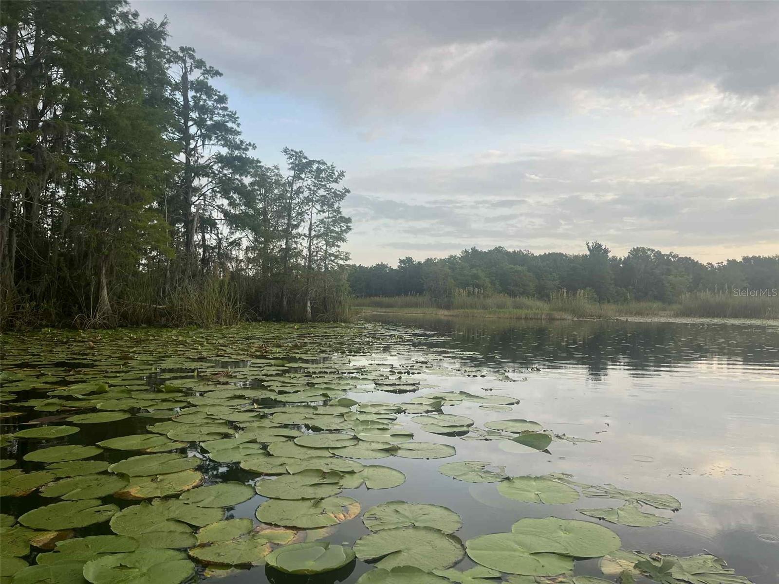 1135 N JACKADEE PT, INVERNESS, FL — photo 2