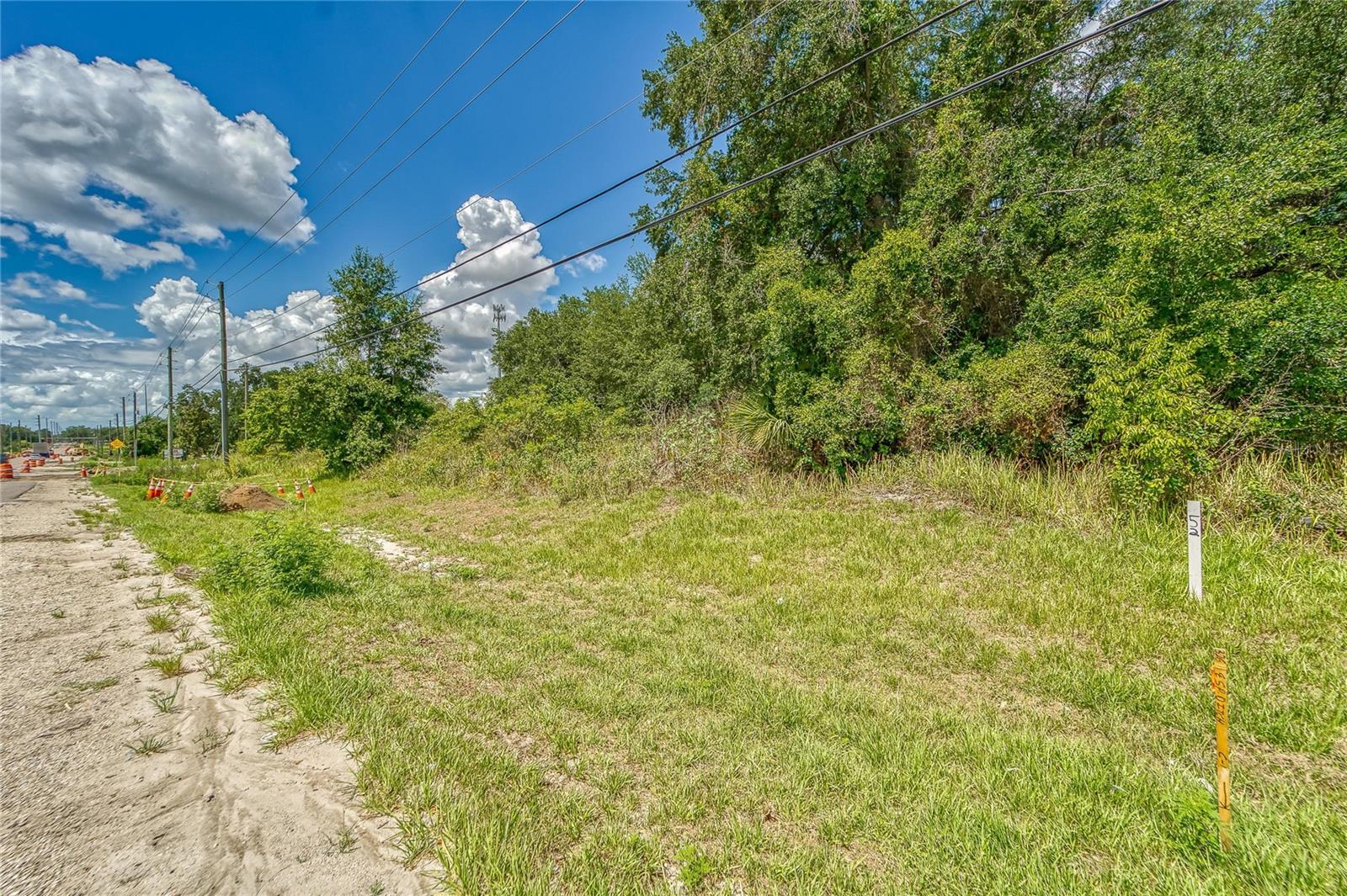 TURKEY CREEK RD, PLANT CITY, FL — photo 2