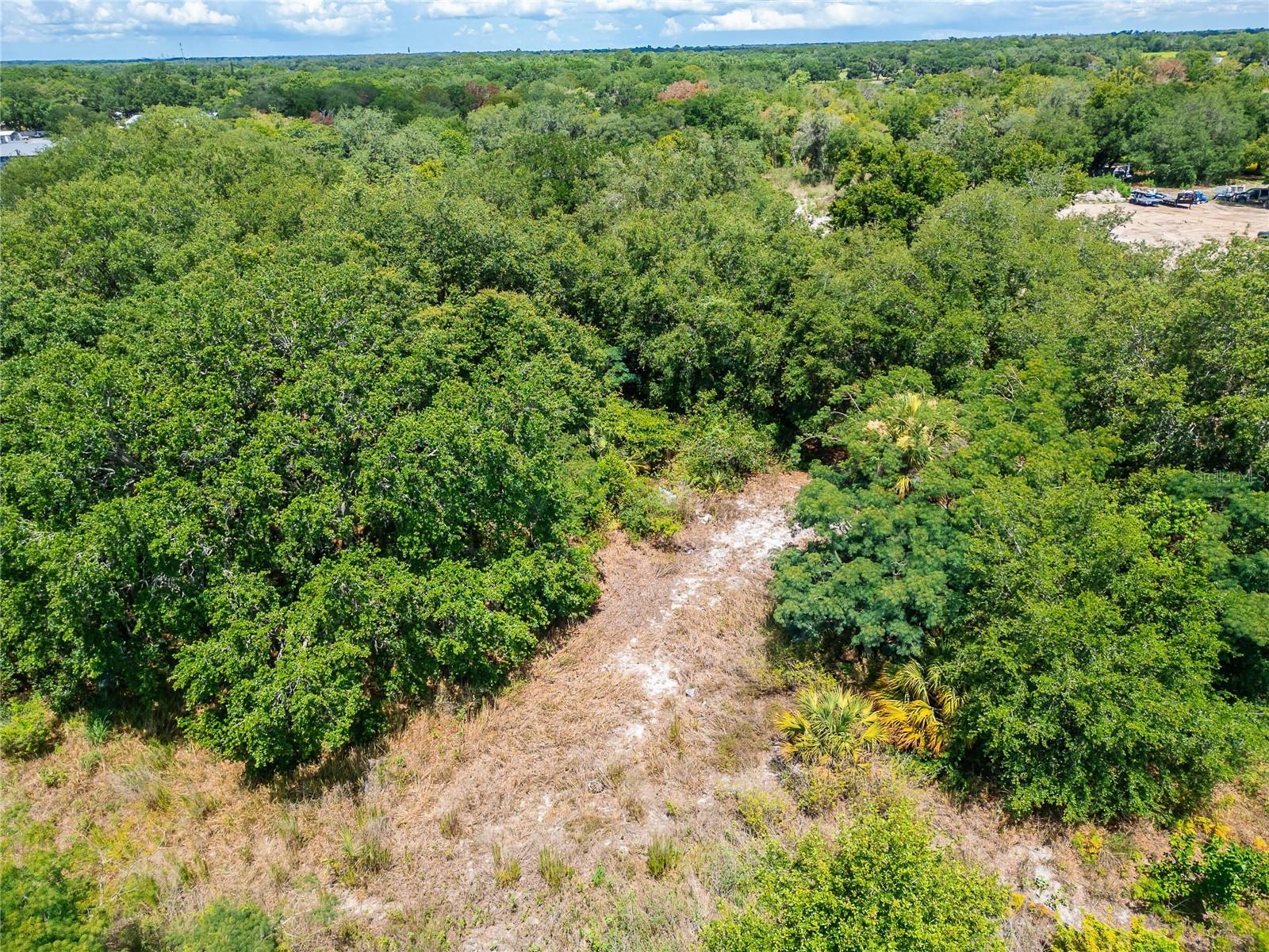 TURKEY CREEK RD, PLANT CITY, FL — photo 3