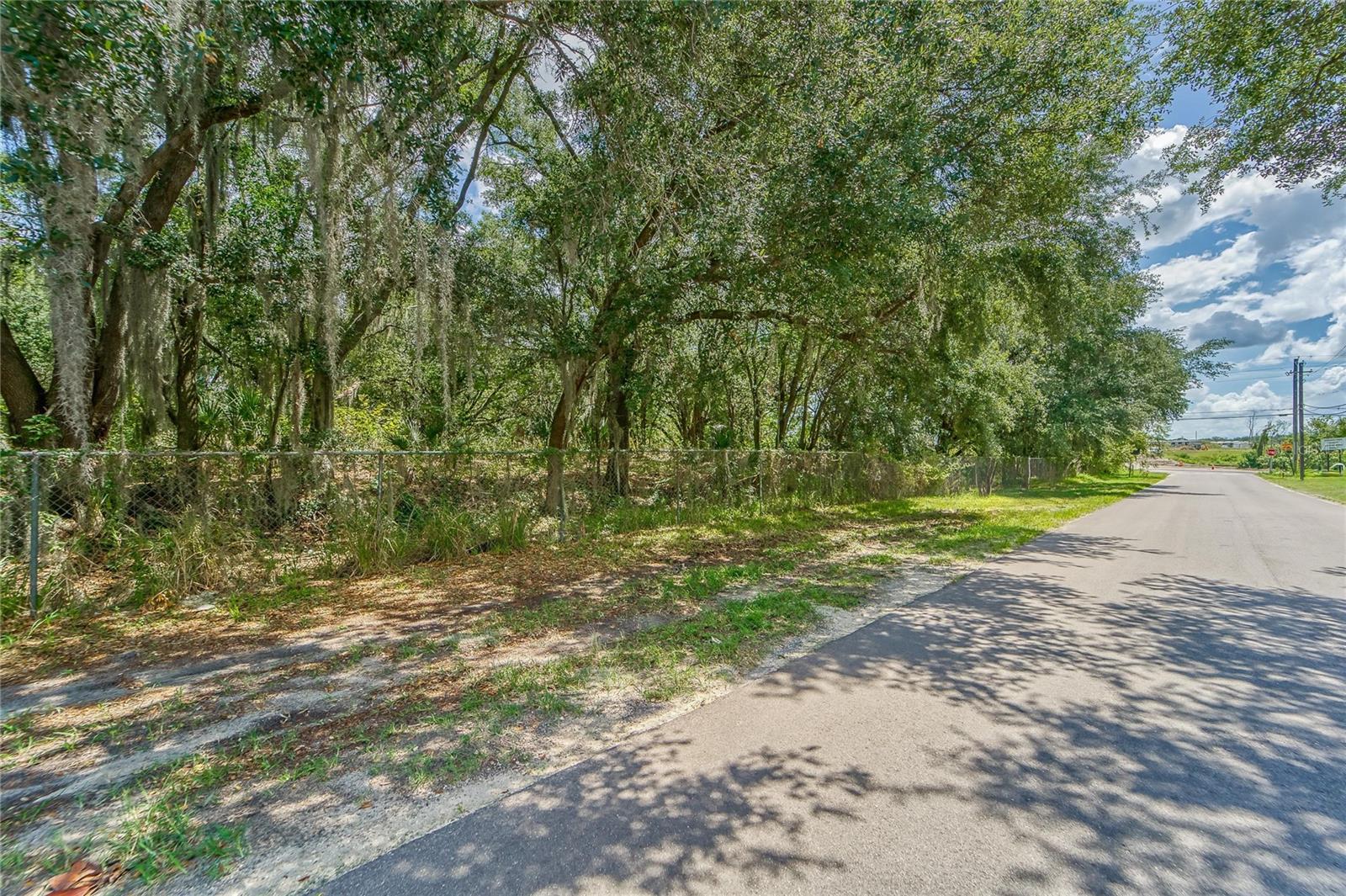 TURKEY CREEK RD, PLANT CITY, FL — photo 10