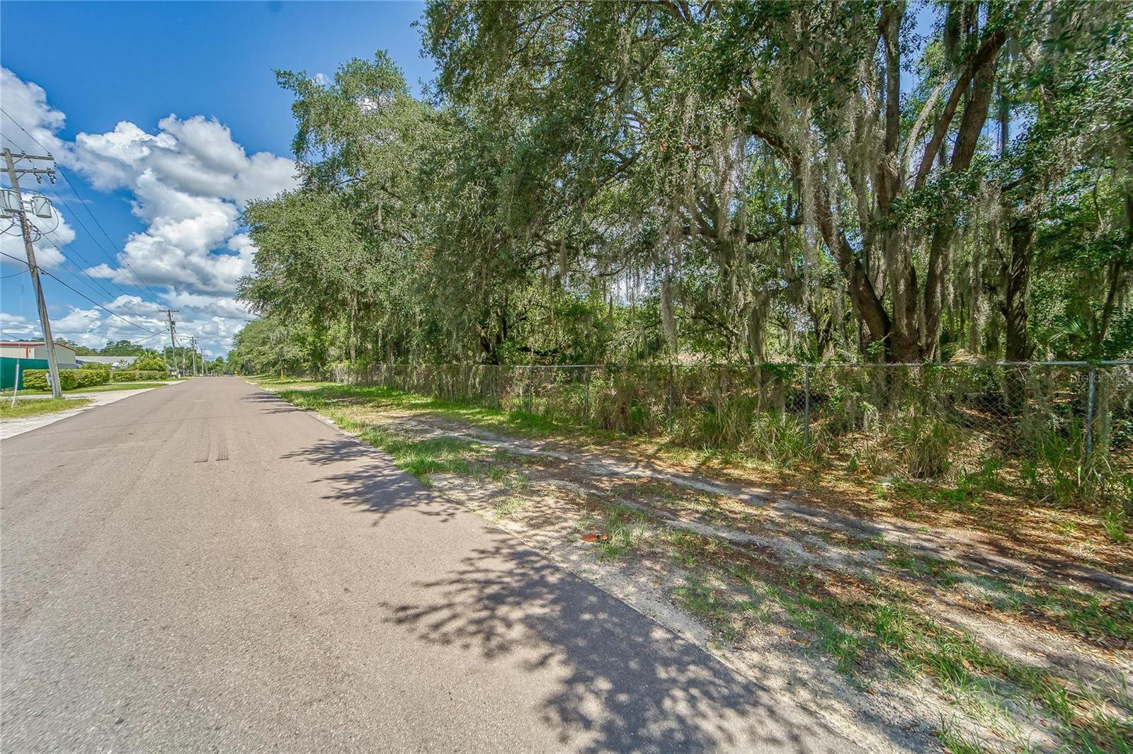 TURKEY CREEK RD, PLANT CITY, FL — photo 12