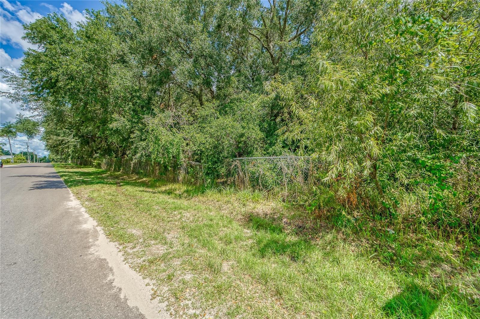 TURKEY CREEK RD, PLANT CITY, FL — photo 14