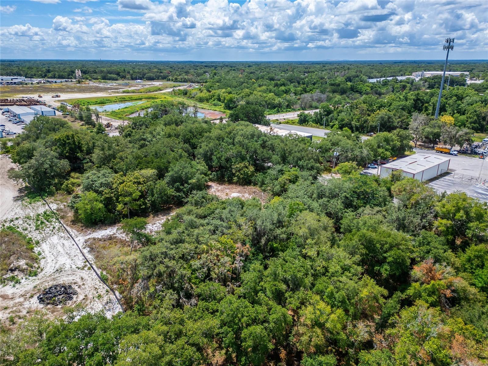 TURKEY CREEK RD, PLANT CITY, FL — photo 17