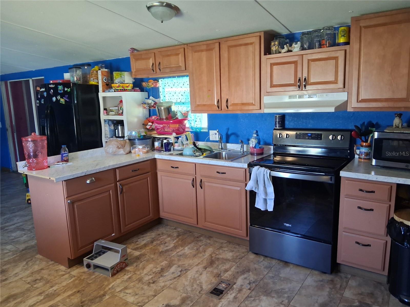 6290 SE 140TH PL, SUMMERFIELD, FL — photo 18