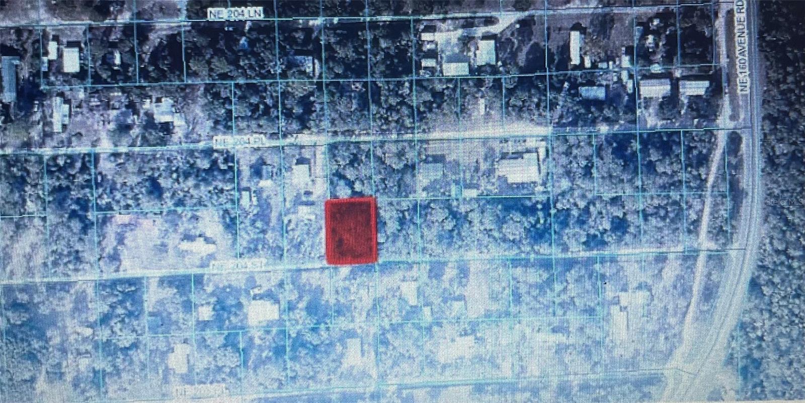 TBD NE NE 204TH ST, FORT MC COY, FL