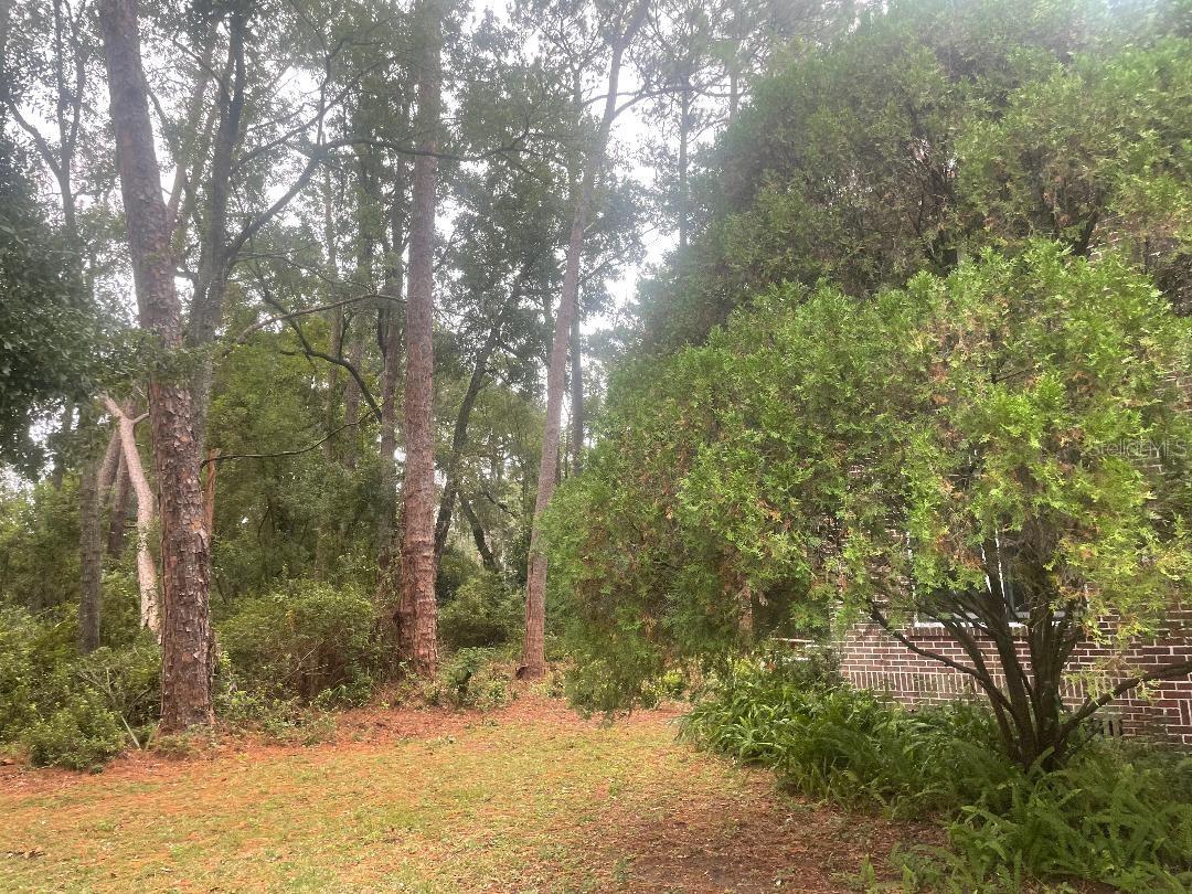 635 NE 9TH AVE, GAINESVILLE, FL — photo 16
