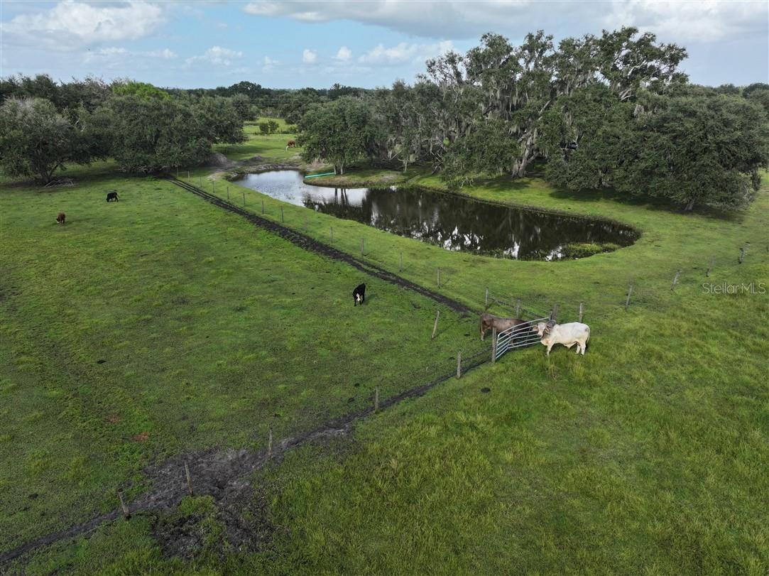 14935 COKER GULLY RD, MYAKKA CITY, FL — photo 11