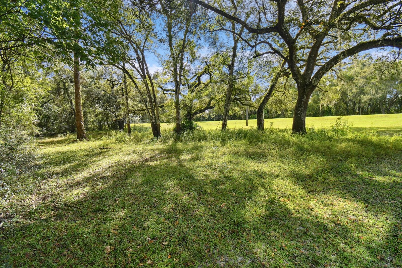 3384 MCKETHAN RD, DADE CITY, FL — photo 58