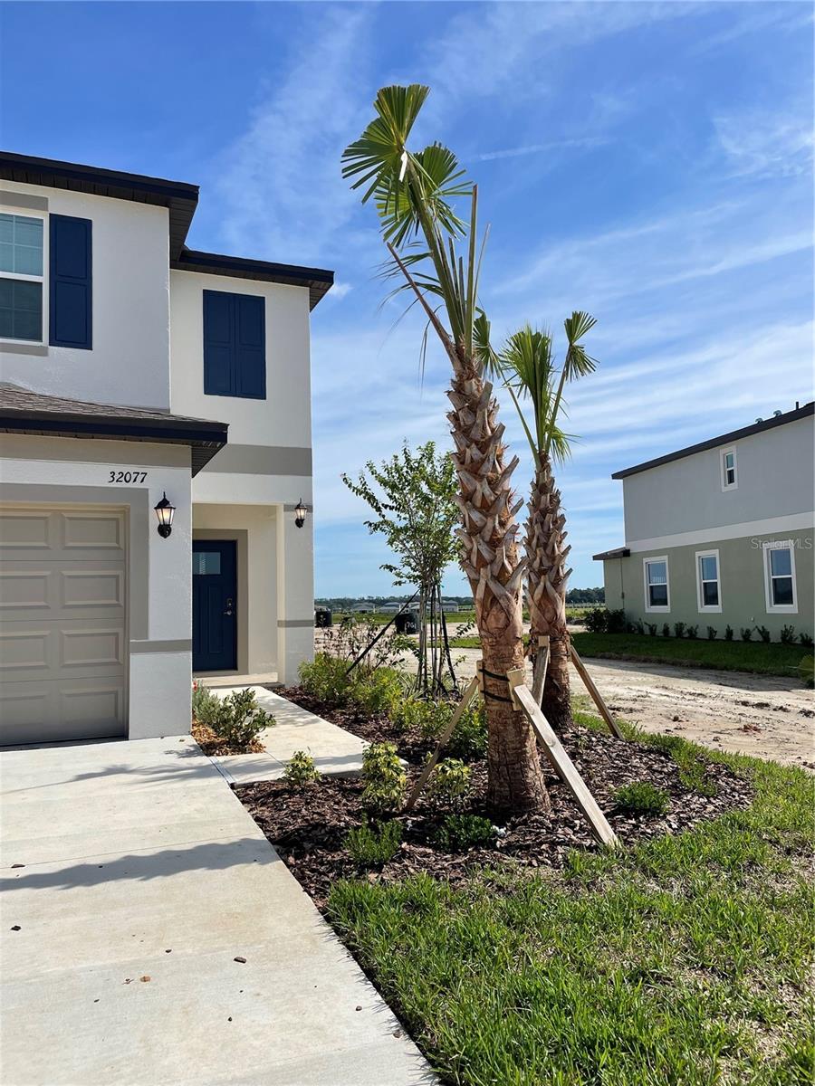 32077 POWDERPUFF MIMOSA, SAN ANTONIO, FL — photo 75